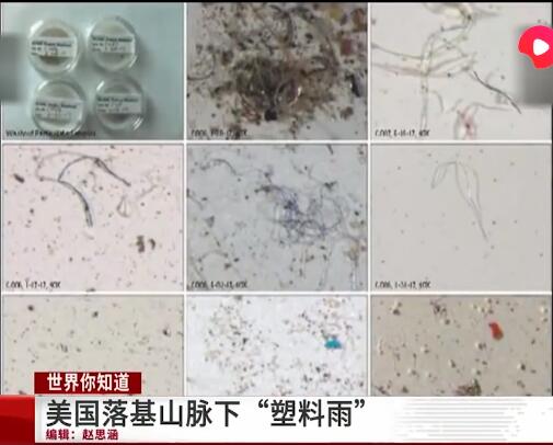 美國(guó)下起了塑料雨 或?qū)θ祟?lèi)產(chǎn)生危害